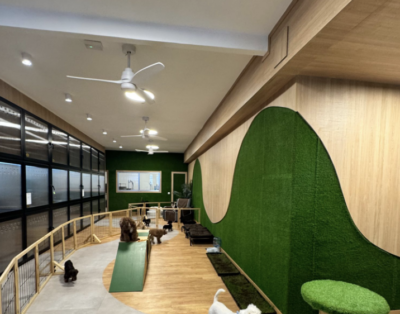 The Dogg Hotel & Spa | Hotel boutique para perros | Madrid